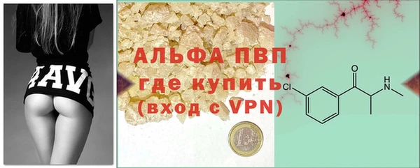 стаф Елабуга