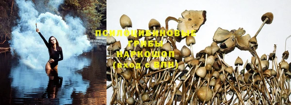 mix Заводоуковск