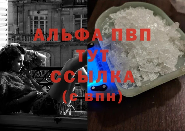 стаф Елабуга