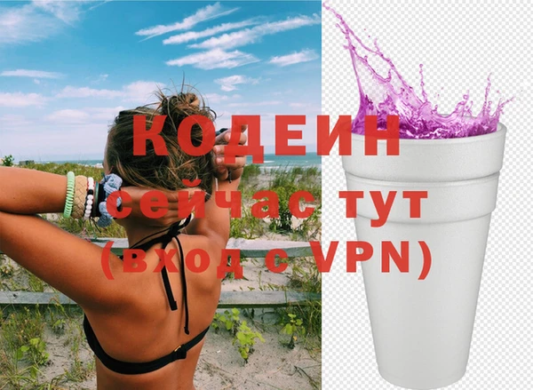хмурый Елизово